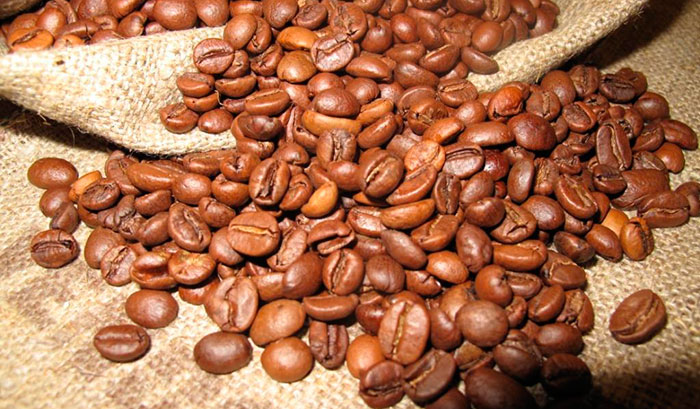  кофе Эгоист используются только отборные зерна Арабики
