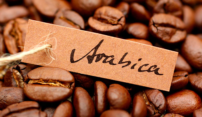 кофе Тудей используются зерна качественной Арабики