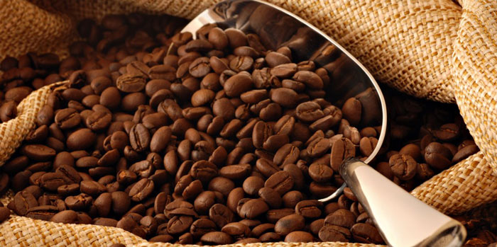 Лучшие сорта доминиканского кофе: посадка и уход