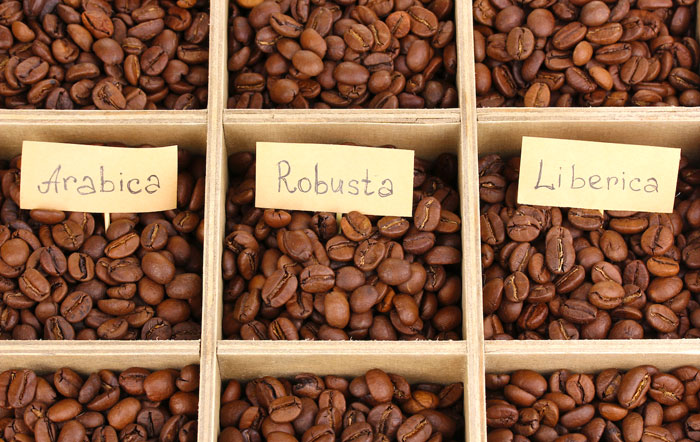 Классификация кофе по различным признакам