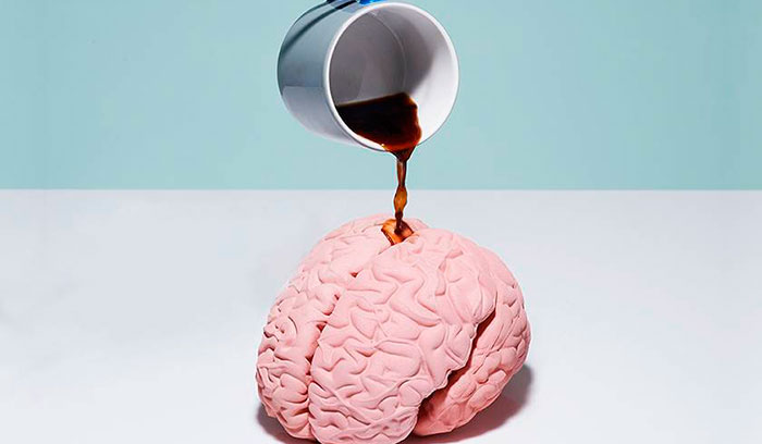  Кофеин увеличивает нервную активность в головном мозге